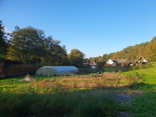 20251012 163306(1).jpg