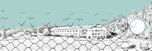 2019 1 Kaserne Zaun weniger vögel.png